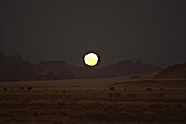 Full moon above the steppe at Namib Naukluft Park, Sossusvlei, Namibia, Africa