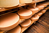 Cheese in Krimmler Achental, Salzburger Land, Austria