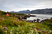 Nappstraumen, Vestvågøya island, Lofoten Islands, North Norway, Norway