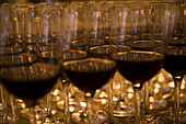 Winetasting at Chateau du Tertre winery, Margaux, Medoc, Bordeaux, Gironde, Aquitane, France, Europe