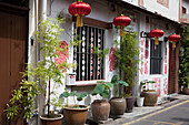 Lanterns, and Lotus plants in front of a house in the historical center of, Malaysia, Asia.