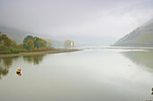 View from the mouth of the river Nahe at the Mäuseturm (Mice tower) and at the ruin of the Ehrenfels castle, Bingen, Cultural Heritage of the World: Oberes Mittelrheintal (since 2002), Mittelrhein, Rhineland-Palatinate, Germany, Europe