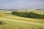 Landscape at Münstermaifeld, Eifel, Rhineland-Palatinate, Germany, Europe