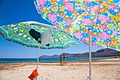 Beach, Son Serra de Marina, Bay of Alcudia, Majorca, Balearic Islands, Spain