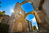 Ruins of San Anton convent. Burgos province, Castilla-Leon, Spain