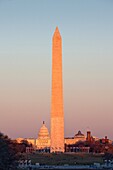 Washington Monument and US Capitol, Washington D.C., USA
