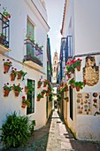 Flowers Street, Cordoba, Andalusia, Spain