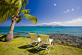 The Coast at the InterContinental resort, Papeete, Tahiti Nui, Tahiti island, Society Islands, French Polynesia (May 2009)