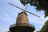 D-Dormagen, Rhine, Lower Rhine, North Rhine-Westphalia, D-Dormagen-Zons, Feste Zons, Mill Tower, historic windmill