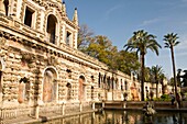 grotesque gallery and Mercury pond in Reales Alcazares gardens Sevilla Andalusia Spain