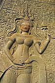 Detail of Apsara (Celestial dancer) on exterior of second enclosing wall. Angkor Wat. Built on the XIIth century by Suryavarman II. Siem Reap. Cambodia.