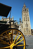 Giralda tower, Seville. Andalusia, Spain