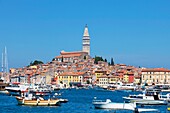 croatia, istria - town of rovinj