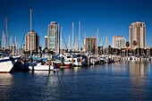 USA, Florida, St Petersburg, skyline from Central Yacht Basin