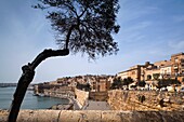 Malta, Valletta, city view from Lower Barrakka Gardens