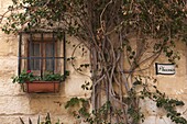 Malta, Valletta, window detail