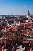 Estonia, Tallinn, Old Town, elevated view from St Olaf's Church Tower