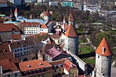Estonia, Tallinn, Old Town, elevated view of City Walls from St Olaf's Church Tower