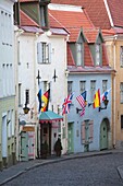 Estonia, Tallinn, Old Town, Puhavaimu Street buildings, dusk