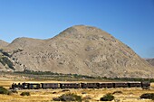 La Trochita narrow gauge steam train (aka Old Patagonian Express), Esquel, Chubut Province, Patagonia, Argentina