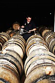 France, Champain, Domaine Bollinger, pourring wine in the barrels to have it filled