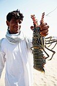 Middle East, Oman, harbour of Sur, lobster