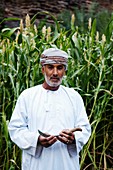 Middle East, Oman, Hajar mounts, ghost village of Wadi Ghul people living in the canyon of Wadi Ghul, herbs for animals crop