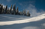 Canada, BC, Sun Peaks Ski Resort Freshly groomed ski run