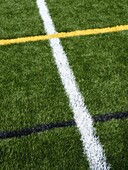 lines on a sports field