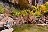 Upper Emerald Pool, Emerald Pools Trail, Zion Canyon, Zion National Park, Utah