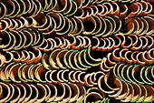 Tiles in Telouet Kasbah, High Atlas, Morocco, Africa