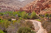 Ounila River Valley, High Atlas, Morocco, Africa