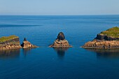 Grossa Island, Columbretes Islands, CASTELLON, VALENCIA, SPAIN