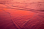 Colores de atardecer en la playa, Isla de Holbox, Estado de Quntana Roo, Península de Yucatán, México