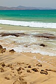 Playa Esmeralda Península de Jandía Isla Fuerteventura Provincia Las Palmas Islas Canarias España