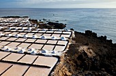 Salinas de Punta Larga Pueblo Fuencaliente Isla La Palma Provincia Santa Cruz Islas Canarias España