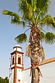 Iglesia Nta Sra de la Antigua Pueblo de Antigua Isla Fuerteventura Provincia Las Palmas Islas Canarias España