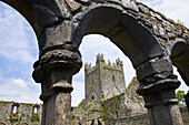 Jerpoint Abbey, Thomastown, Co. Kilkenny, Ireland