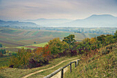 View from the hill Kleine Kalmit near Ilbesheim at the Palatinate Forest, German Wine Route, Rhineland-Palatinate, Germany, Europe