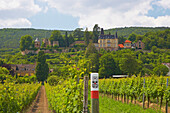 Weinlage Bürgergarten, Haardter Schloss, Neustadt-Haardt, Rheinland-Pfalz, Deutschland