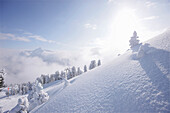 Winterlandschaft, Mayrhofen, Zillertal, Tirol, Österreich