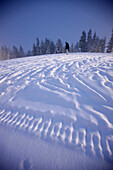 Person passing snowy surface, Grouse Mountain, British Columbia, Canada