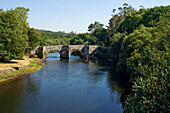 Stonebridge, Ponte de Brandomil, Rio Xallas, Way of St. James, Camino de Santiago, pilgrims way, province of La Coruna, Galicia, Northern Spain, Spain, Europe