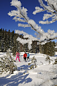 Menschen beim Schneeschuhlaufen in verschneiter Landschaft, Hemmersuppenalm, Reit im Winkl, Bayern, Deutschland, Europa