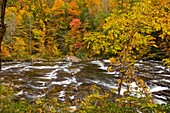Autumn, Tellico River, Cherokee National Forest, TN