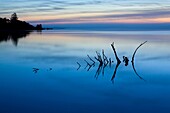 USA, Oregon, Tillamook County, Tillamook Bay at dusk, August