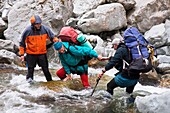Trampers assisting each other to cross fast flowing Canyon Creek, Canterbury, New Zealand
