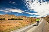 Cycle tourer in Molesworth Station, dry grasslands during summer, North Canterbury, New Zealand