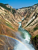Grand Canyon of Yellowstone River Yellowstone Natl Park Wyoming USA