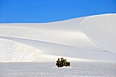 White Sands National Monument New Mexico